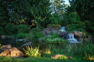 How to Build a Pond Overview