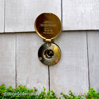 Gold Plated House Hydrant V1+