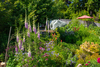 10 Easy-to-Grow Fruits & Vegetables for Gardening Beginners
