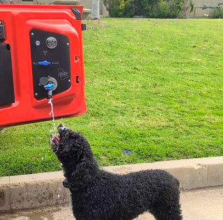 Project Highlight: Ford Bronco RV City Water Inlet Potable Water System