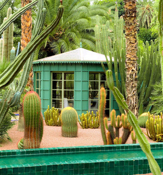 2026 Home Build & Design Trends