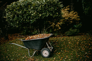 How to Prepare Your Yard for Fall and Winter