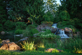 How to Build a Pond Overview