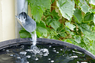 What Is a Rain Barrel? Benefits and Setup Tips