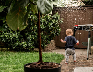 No Pool? No Problem: 11 Cooling Backyard Water Activities