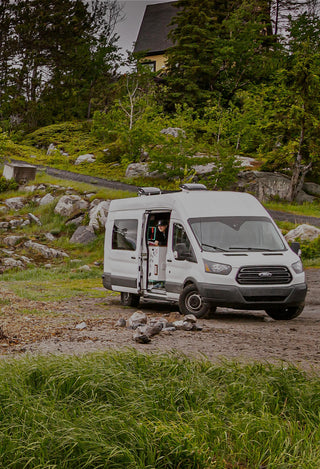 A white van surrounded by lush greenery.