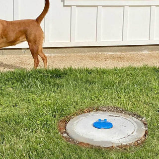 A dog next to the ground hydrant with a closed cover.