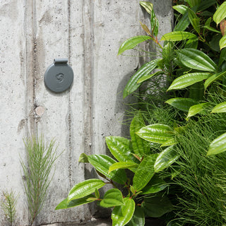 A front view of the Slate Gray House Hydrant V1+ installed into concrete with the cover closed and surrounded by plants. 