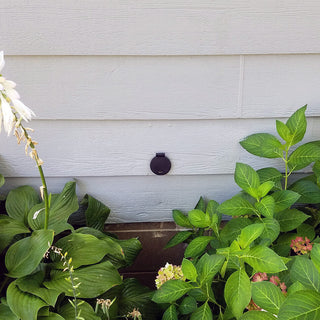 Customer photo of a matte black house hydrant v1+ installed on light gray lap siding surrounded by lush green plants.