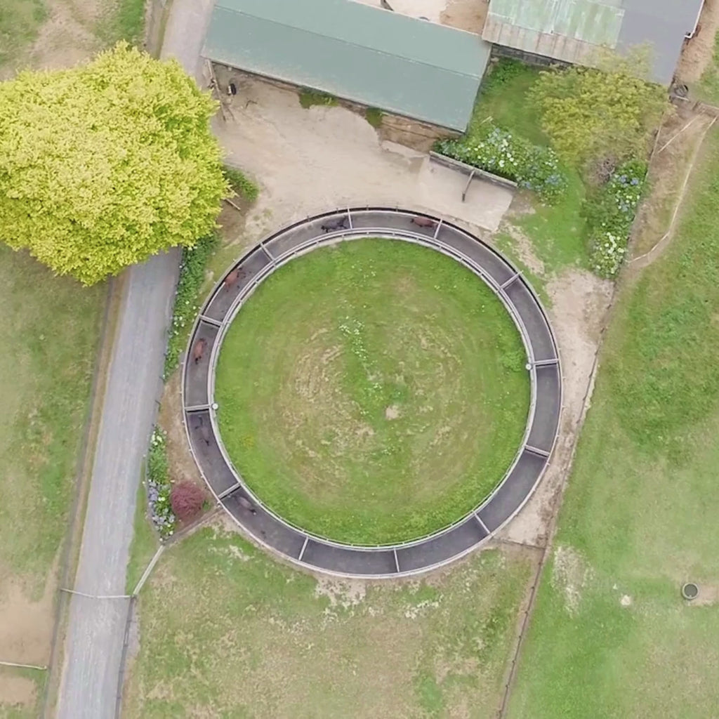 Man washing down concrete on a horse farm.