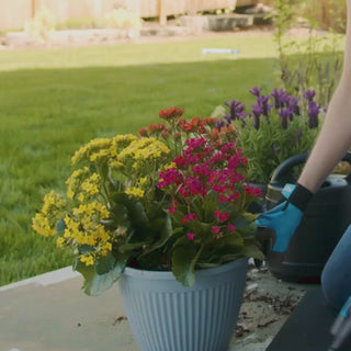 A woman wearing utility gloves pats down dirt in a flower pot, then uses the house hydrant v1+ and comfort grip connector to fill up a watering can. She uses the watering can to water her pot of flowers.