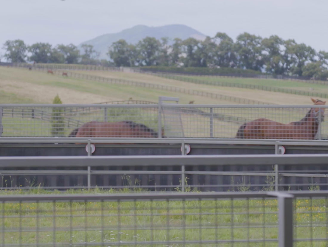 RV City Water Inlet l Aquor Water Systems